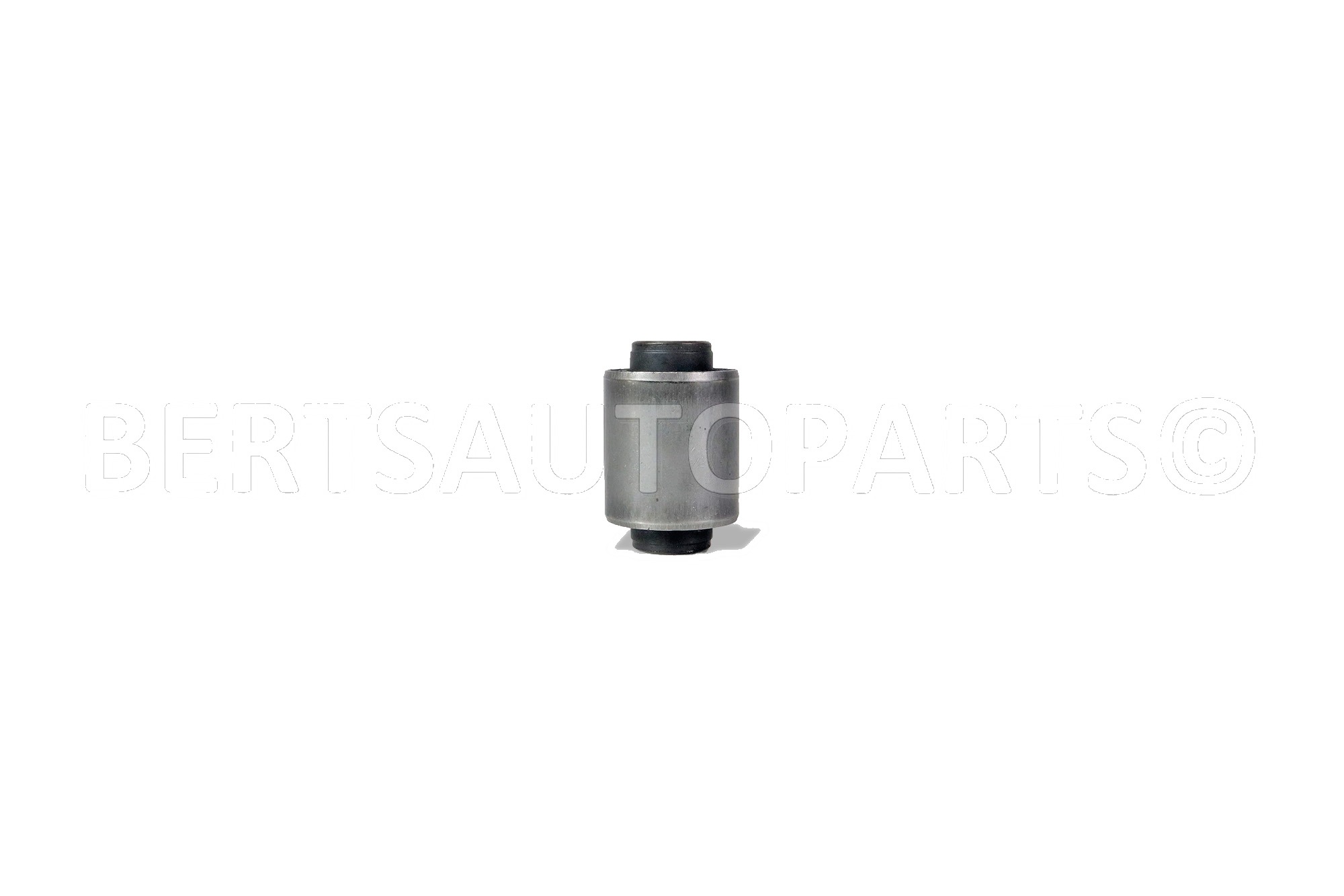 Arm Bushings