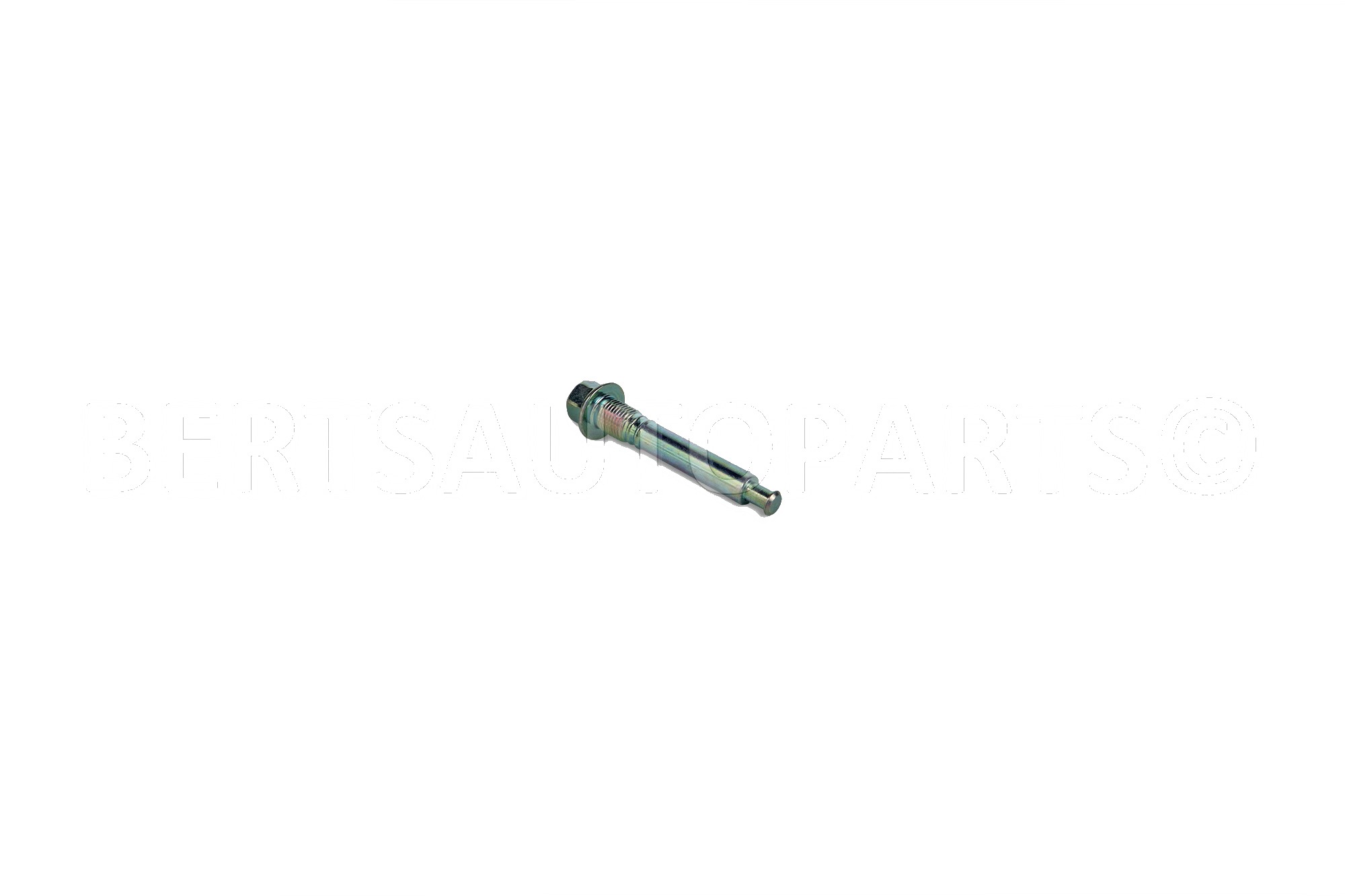 Caliper & Parts