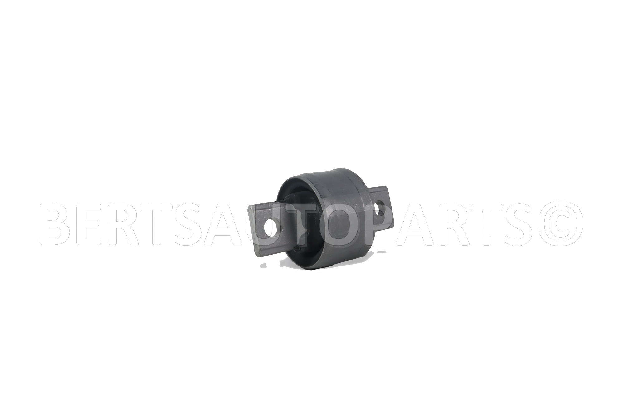 Arm Bushings
