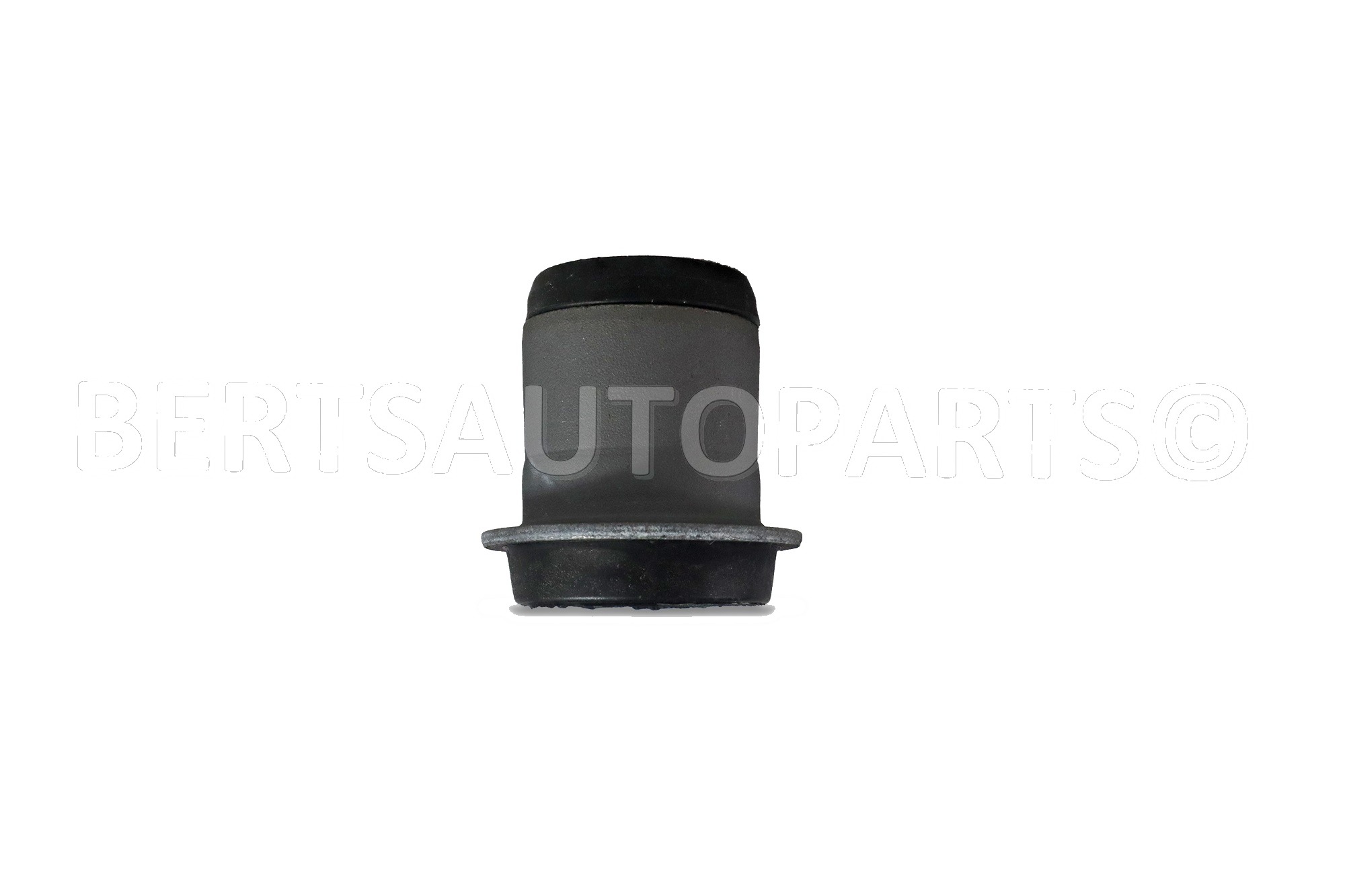 Arm Bushings