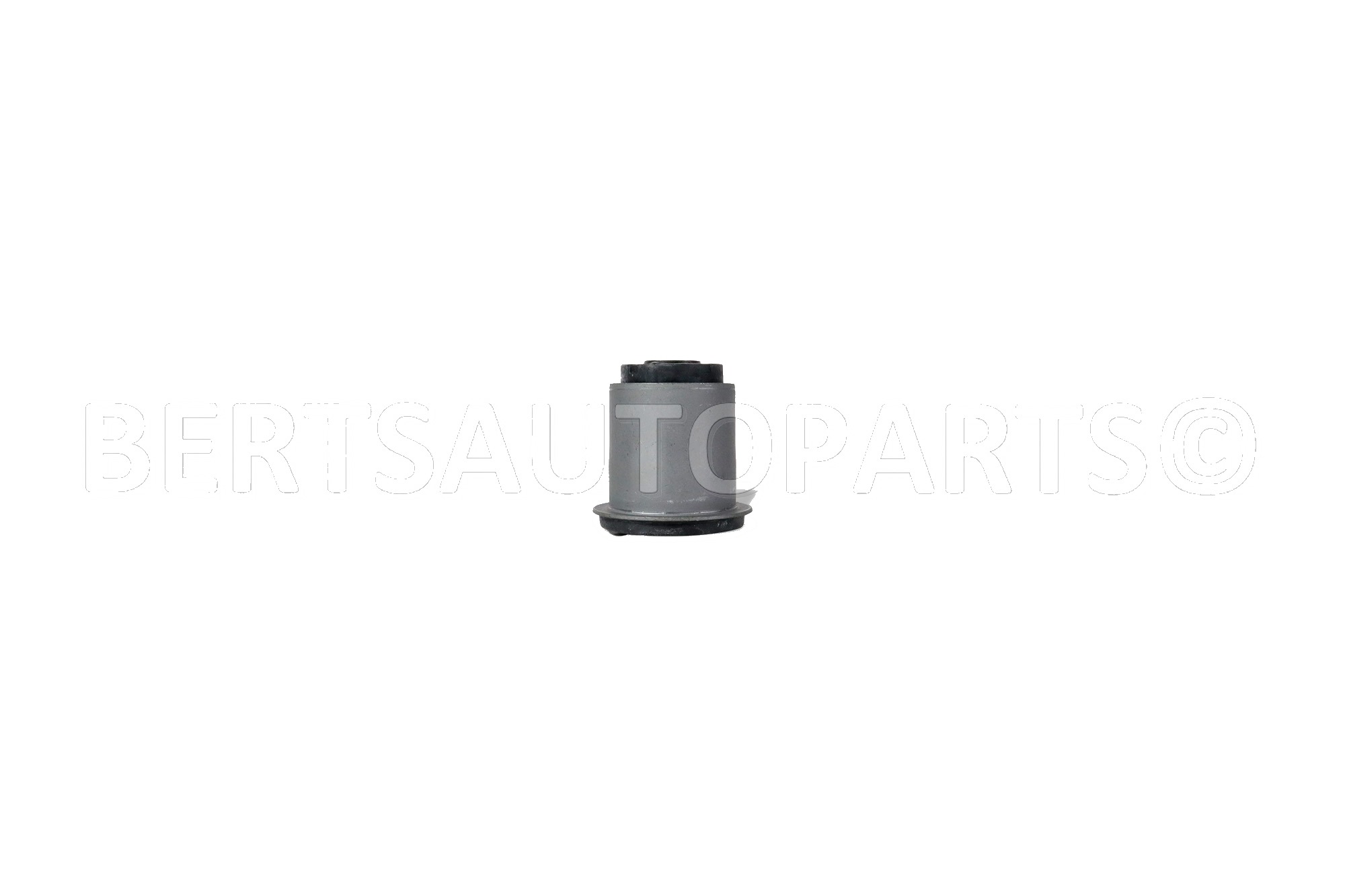 Arm Bushings