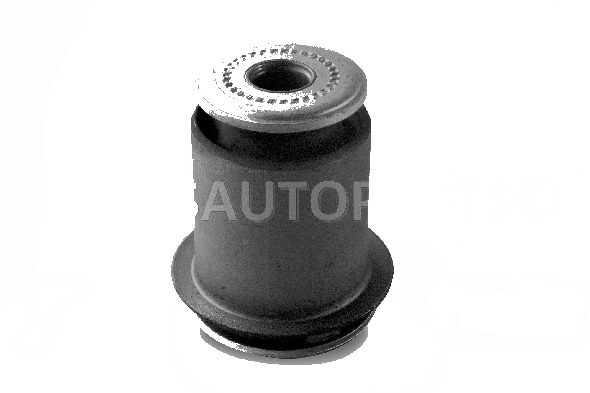 Arm Bushings