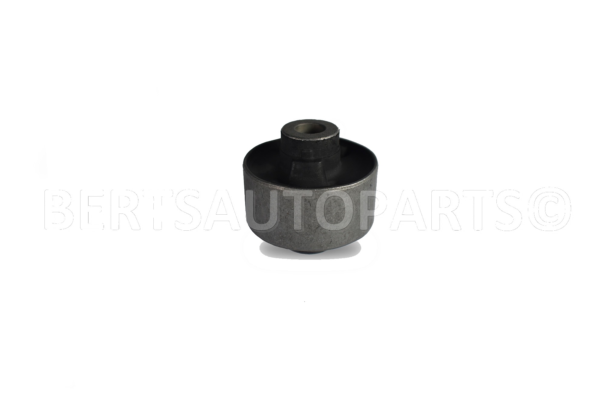 Arm Bushings