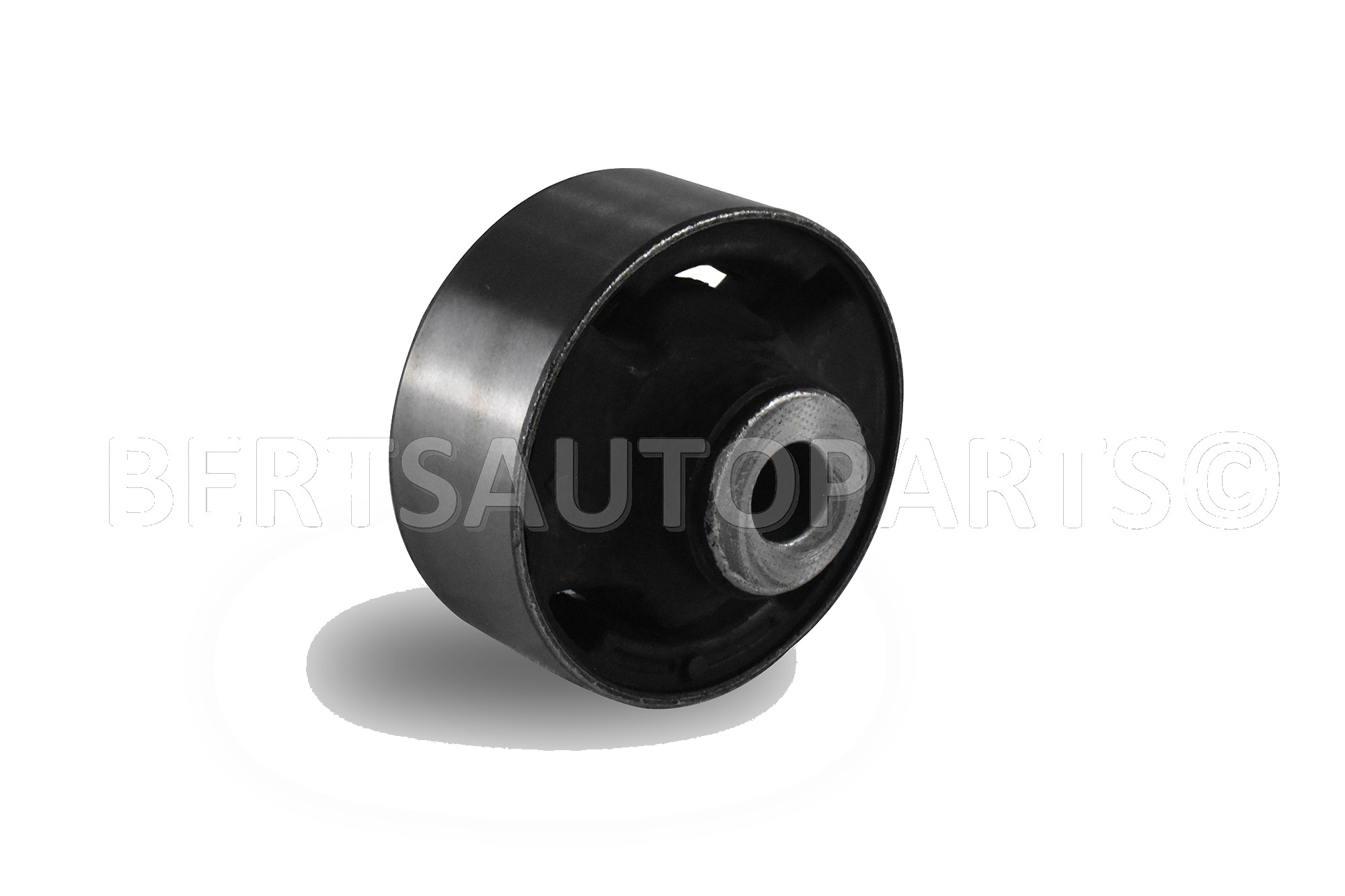 Arm Bushings