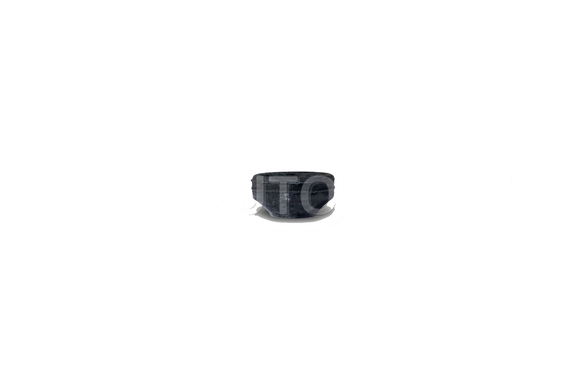 Strut Mount