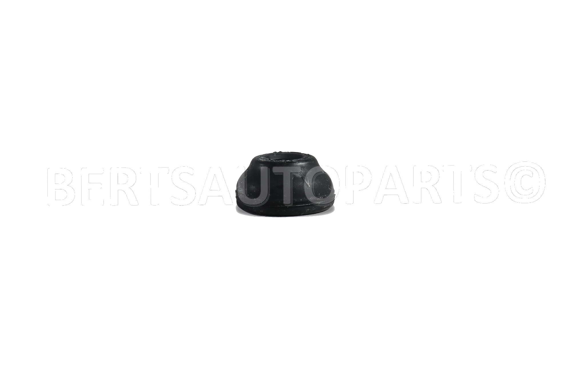 Strut Mount