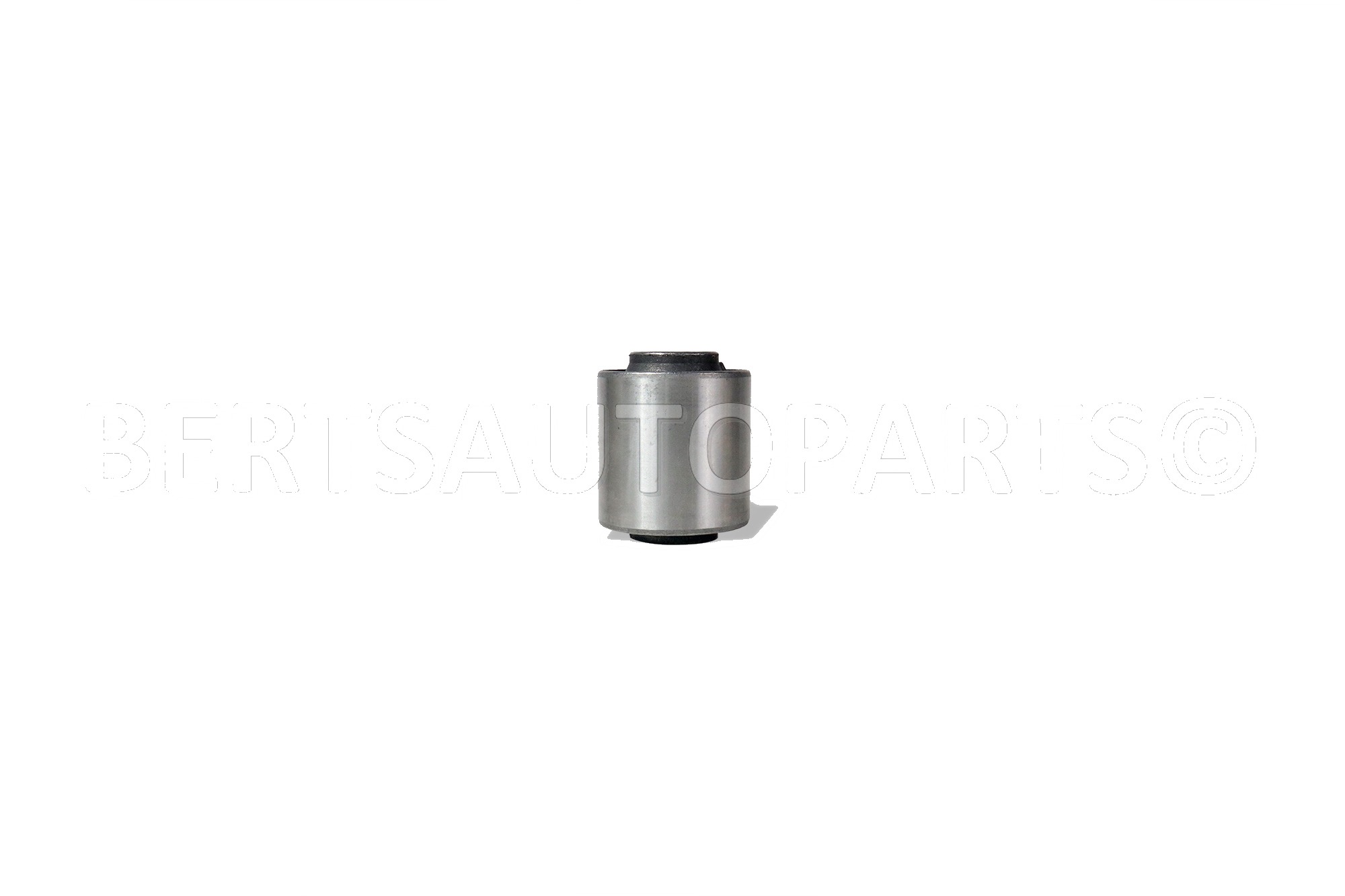 Arm Bushings