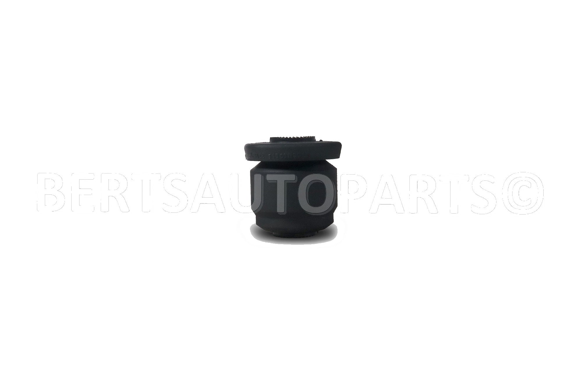 Arm Bushings