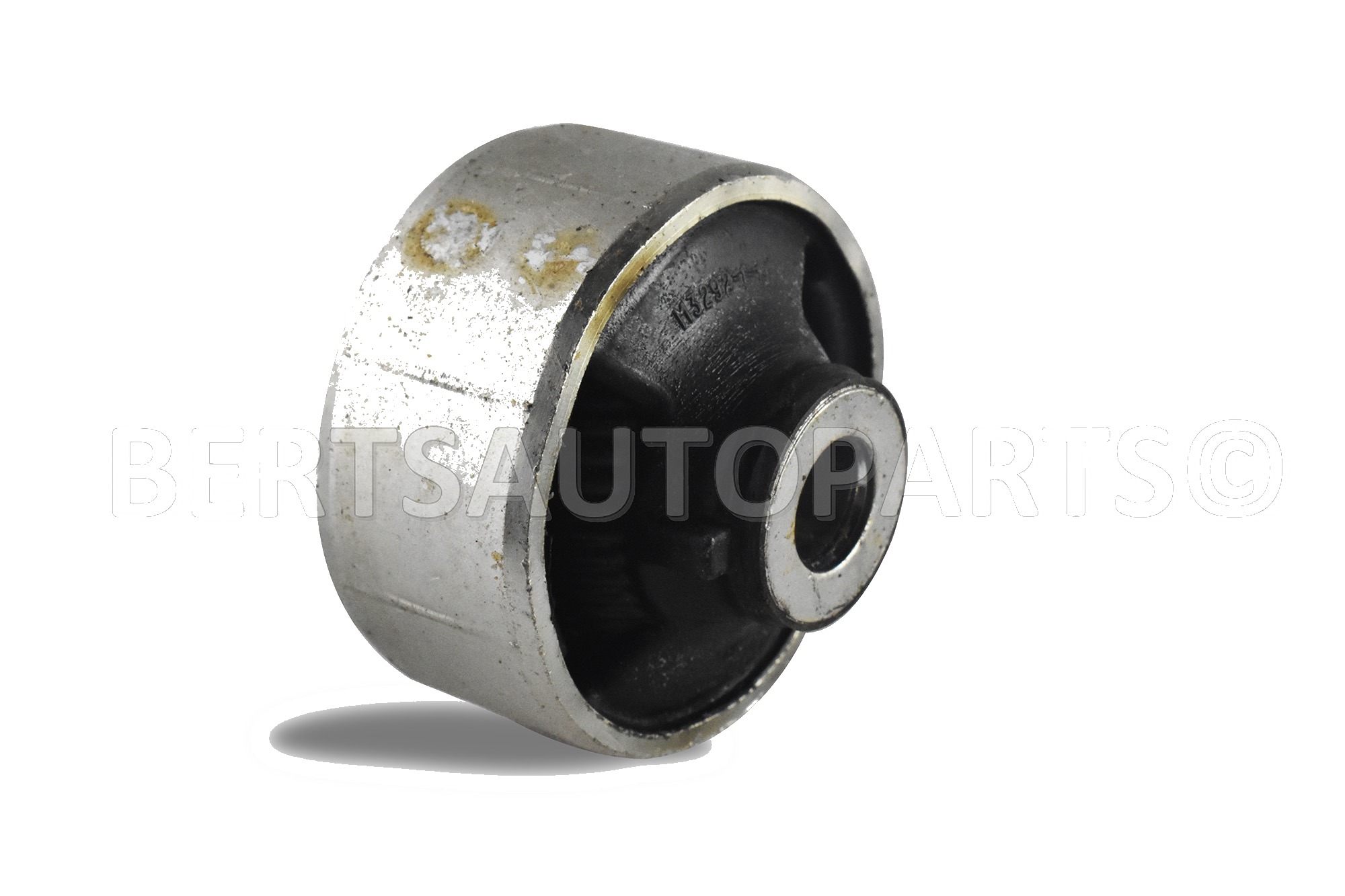 Trailing Arm Bushings