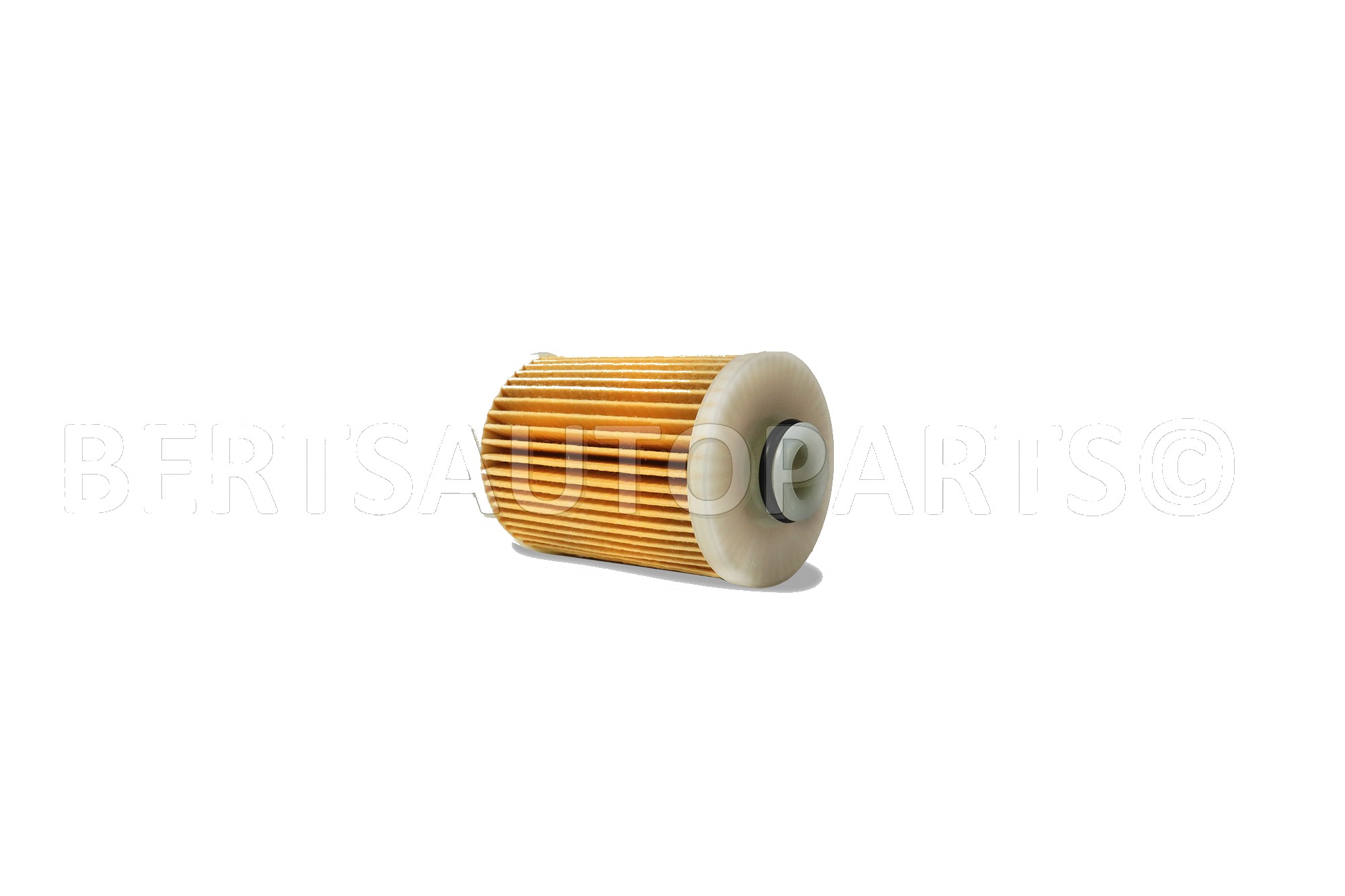 Fuel Filters