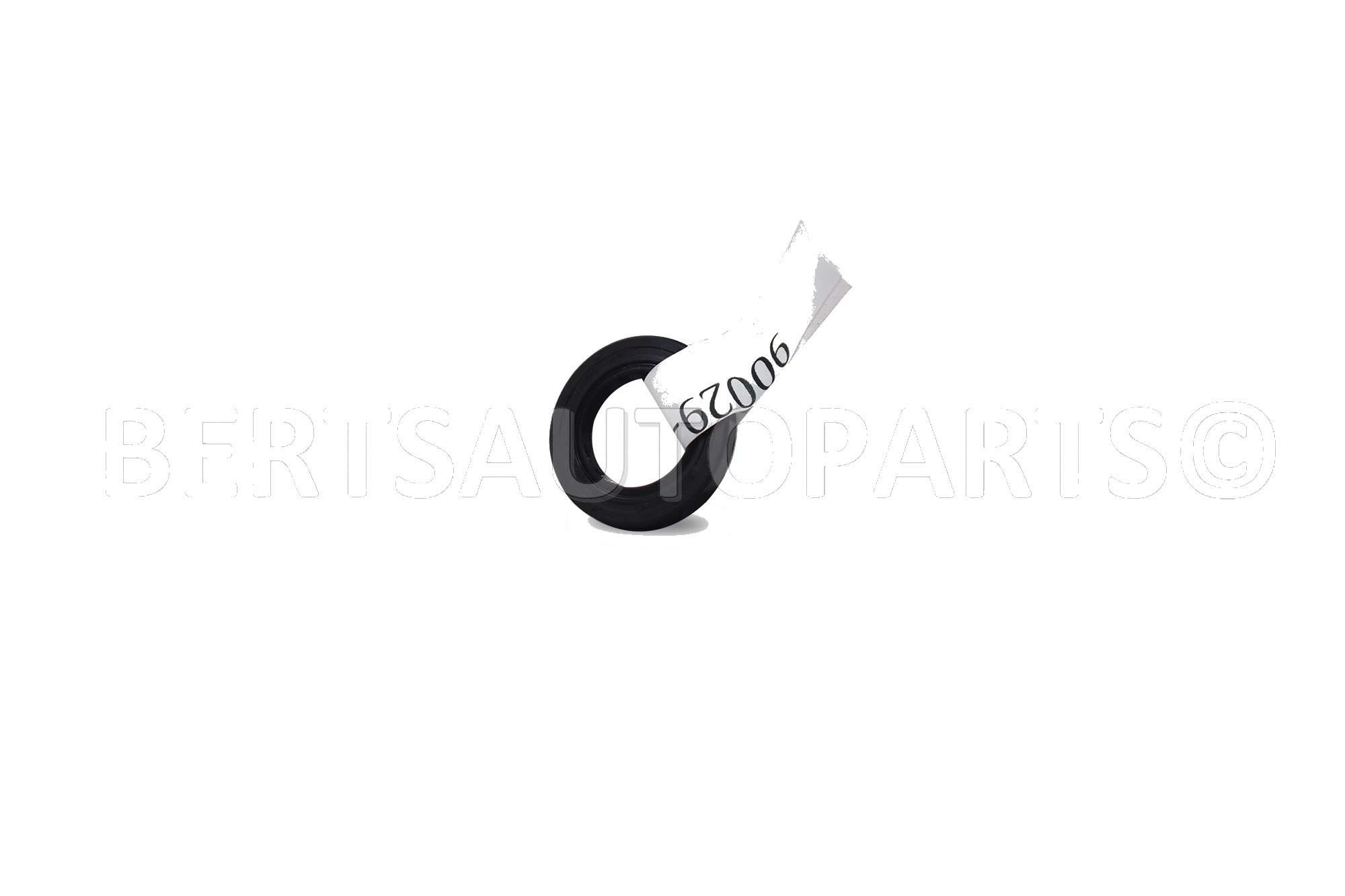 Oil Gaskets & Seals