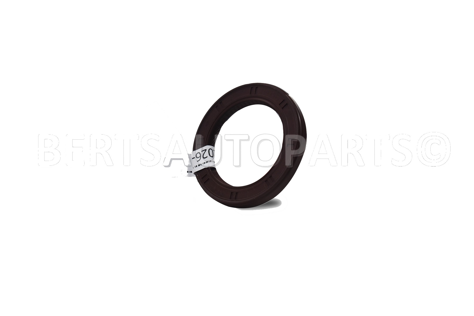 Oil Seals