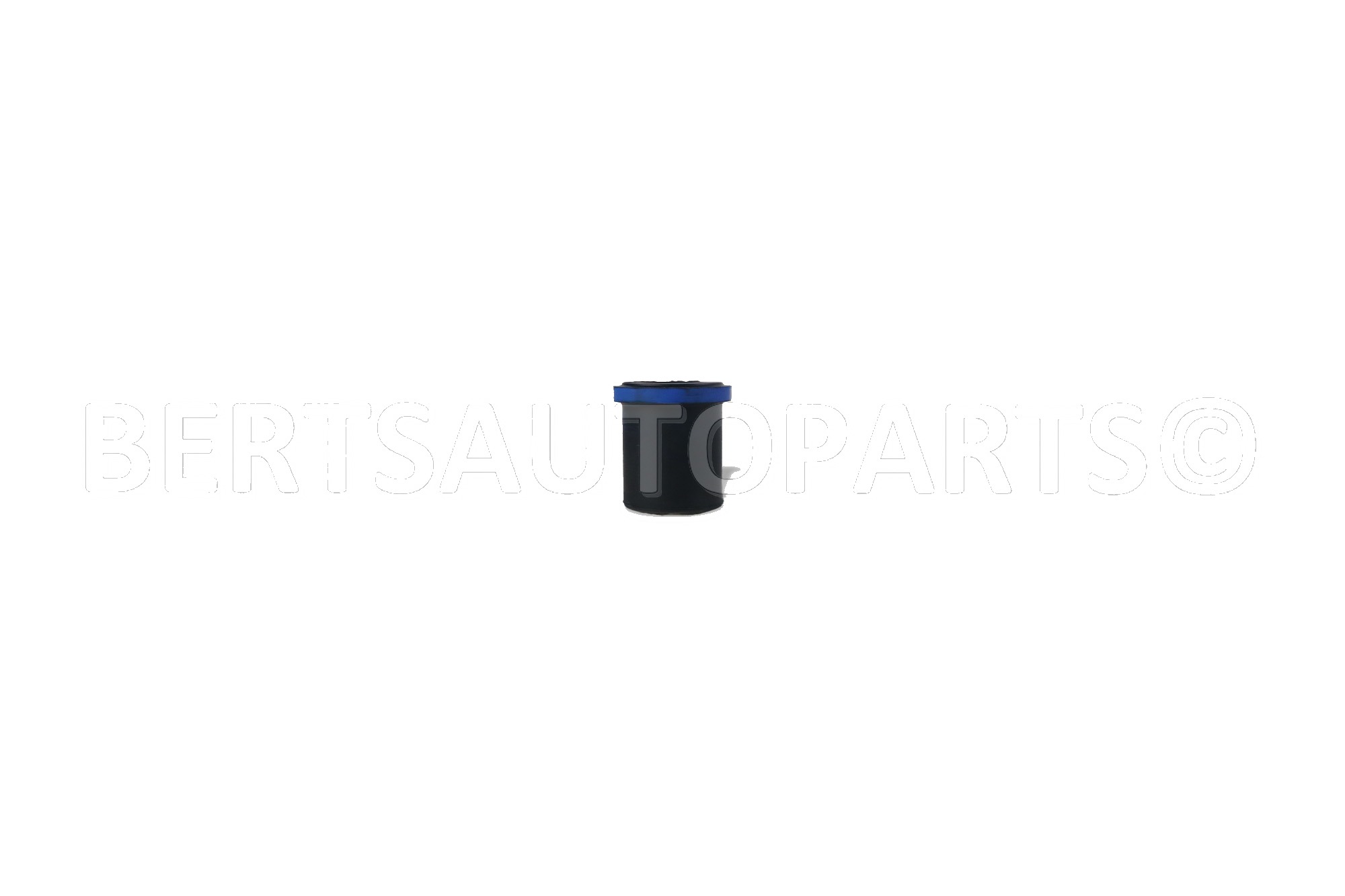 Leaf Spring Bushing (Sping Eye Bushing)