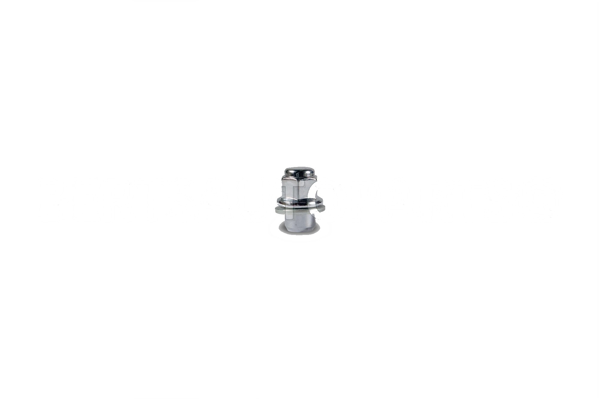 Lug Nut