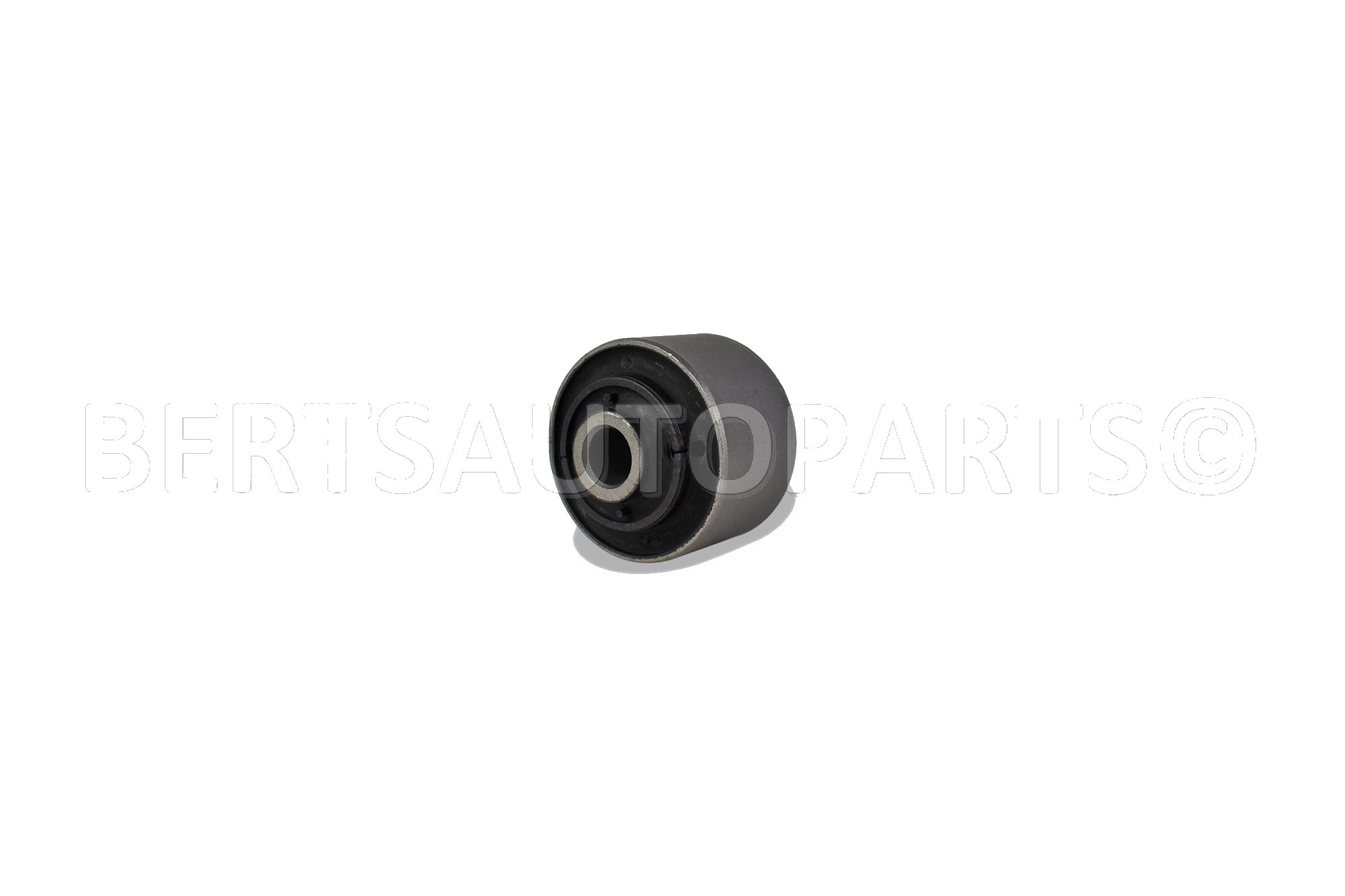 Trailing Arm Bushings